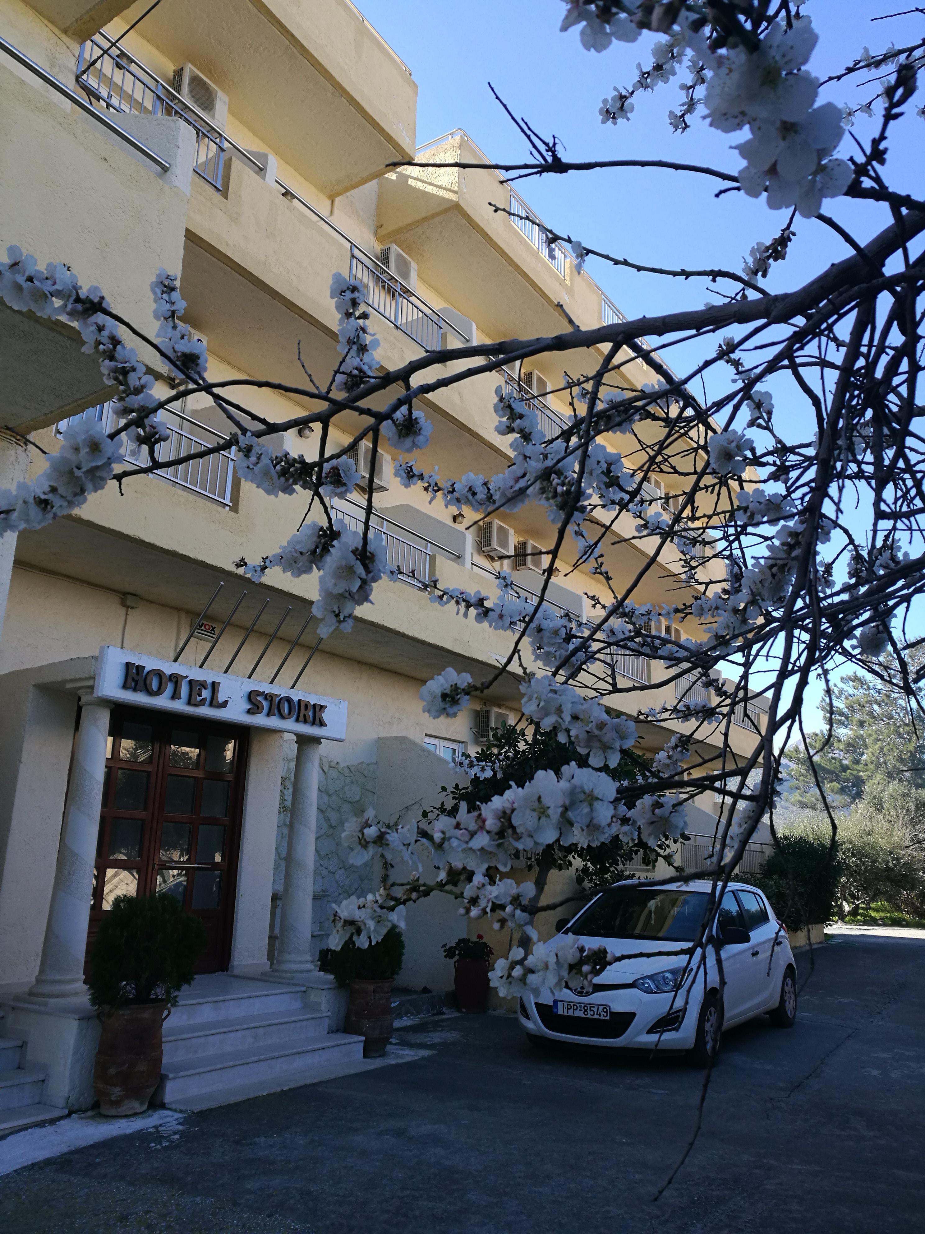 Amoudara Lasithiou Stork Hotel מראה חיצוני תמונה