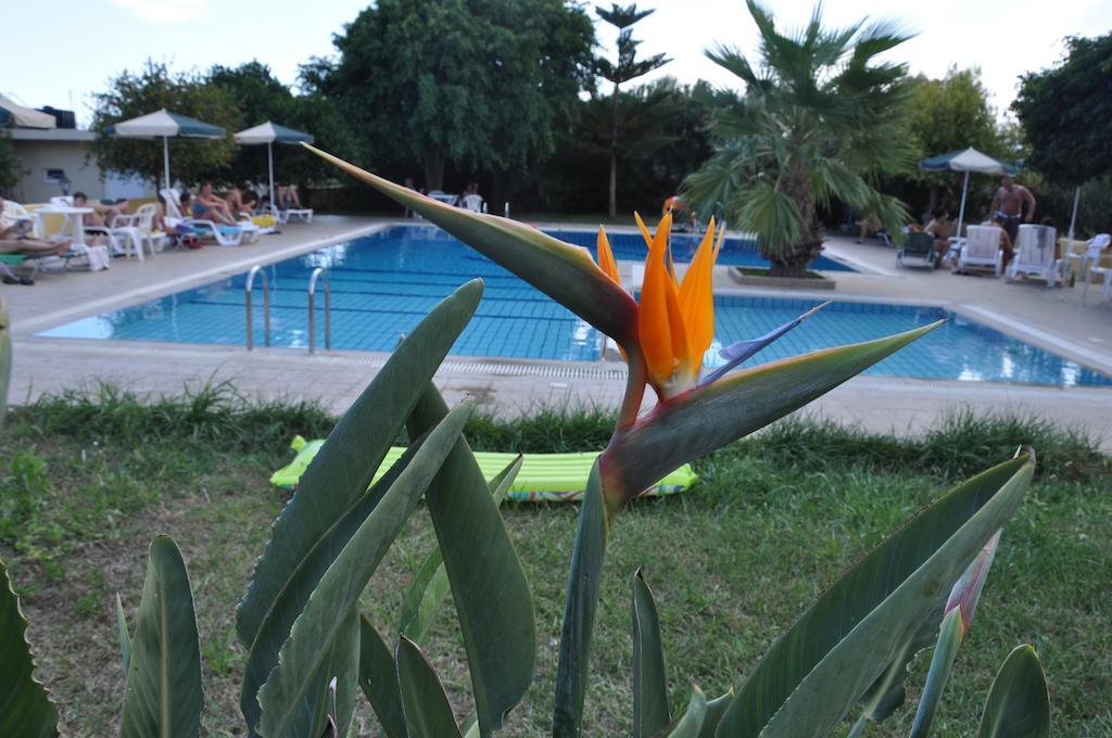 Amoudara Lasithiou Stork Hotel מראה חיצוני תמונה